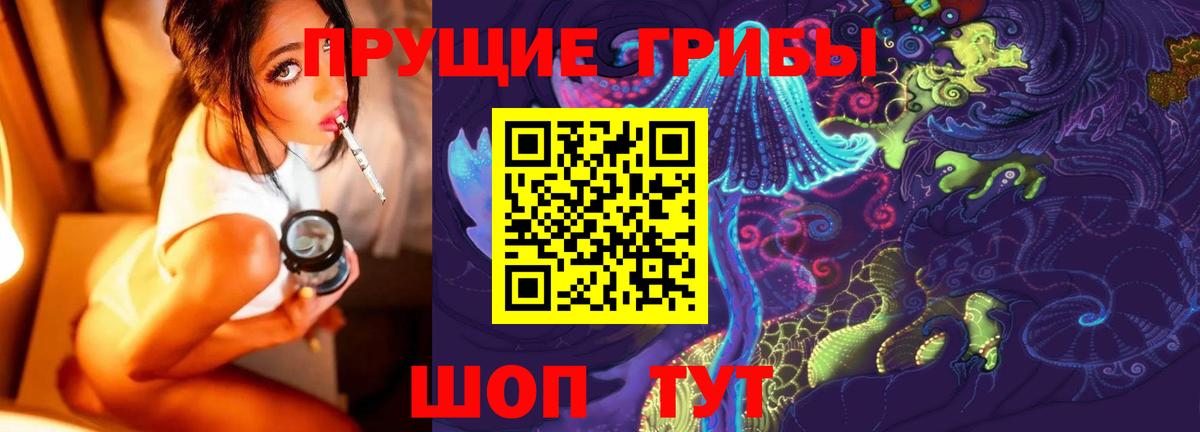Псилоцибиновые грибы мицелий Шелехов