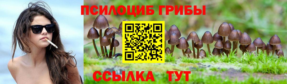 купить наркоту  Вход с VPN  Шелехов  Галлюциногенные грибы мухоморы 